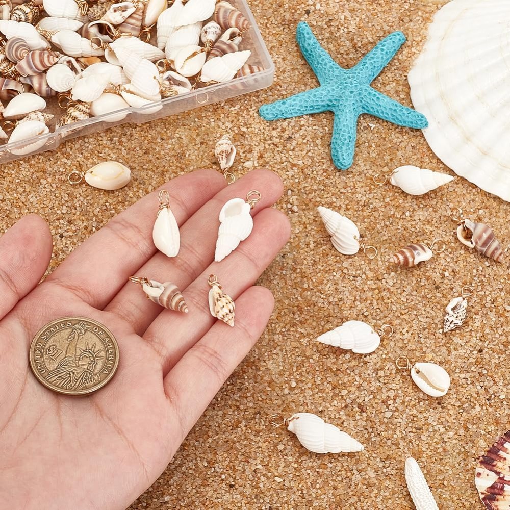 100 قطعة 4 أنماط قذيفة الطبيعي - مراجعة Jewelry Making Beginners وسعره